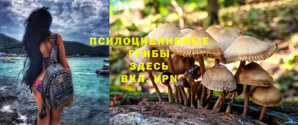трава Володарск