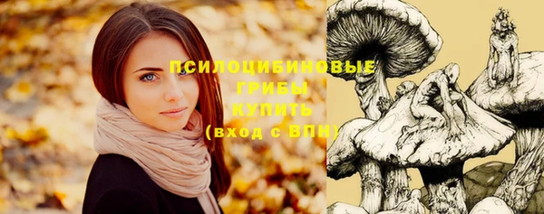 трава Володарск
