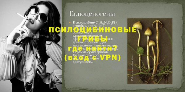 сатива Вязьма